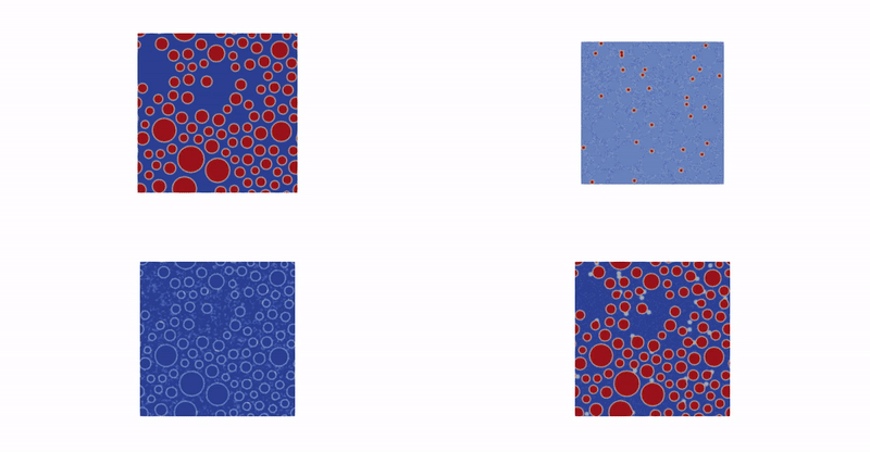 Hydration of a cement paste with w/c=0.5