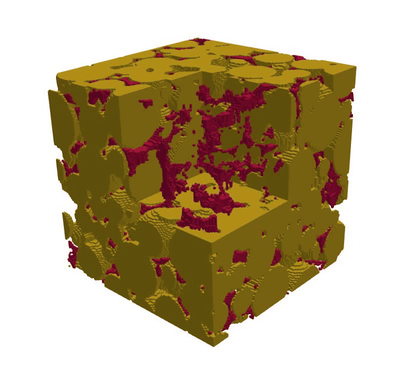 Visualization of the microstructure evolution during the debonding