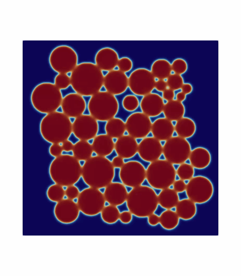 Visualization of the microstructure evolution during the sintering